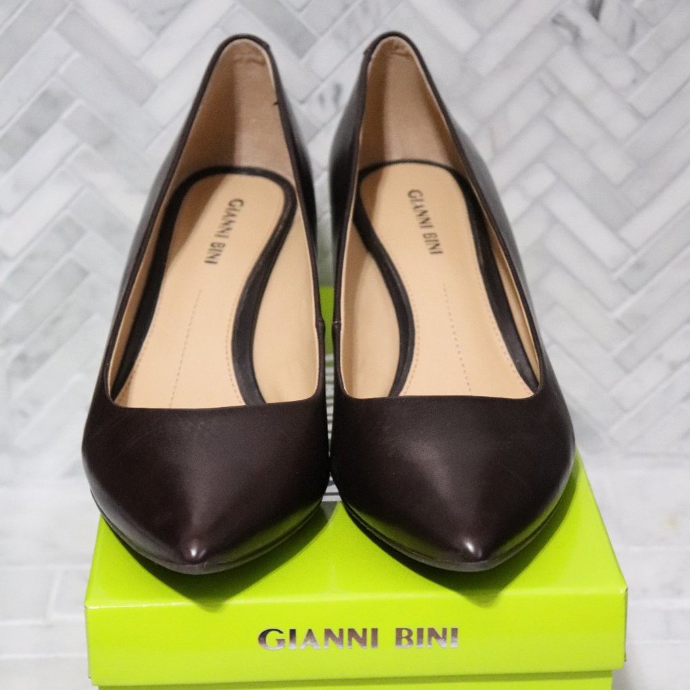 Chocolate Brown kitten hills